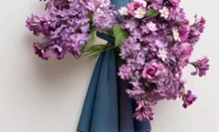 Introduction: Green Finance and Investment in India