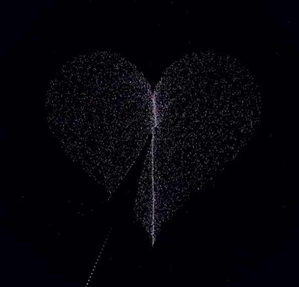 Live Wallpapers 2025: Transform your screen, increase productivity and stay&hellip;